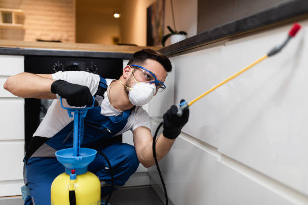 Best Best Pest Control Companies  in Chickamau, GA