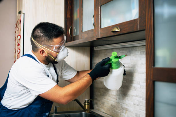 Flea Control Services in Chickamauga, GA