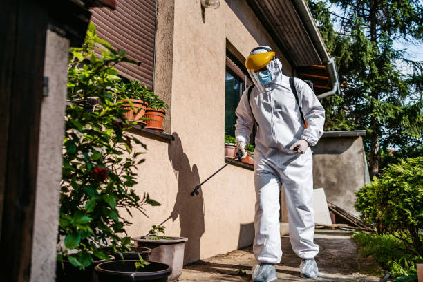 Best Pest Control Near Me in Chickamauga, GA