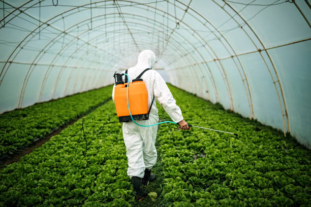 Best Affordable Pest Control Services  in Chickamau, GA
