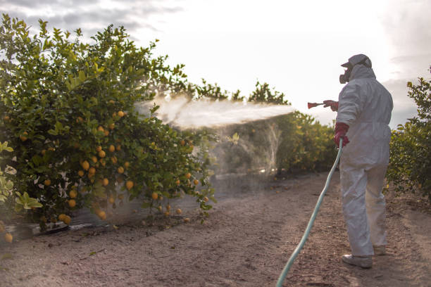Best Exterminator Services  in Chickamau, GA