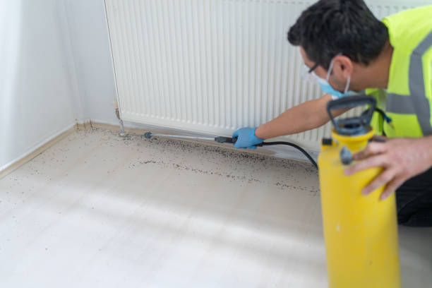 Best Emergency Pest Control  in Chickamau, GA